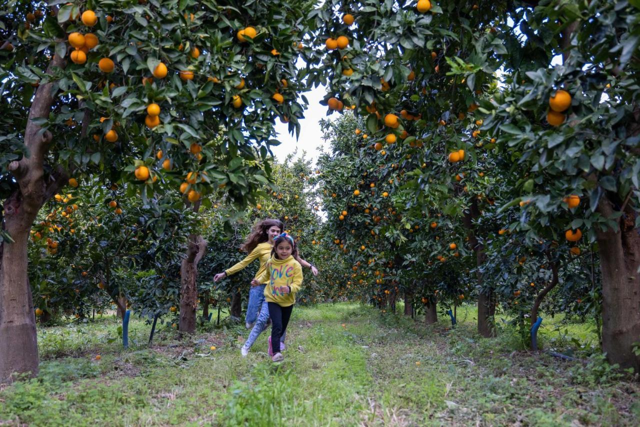 Desa Green Homes Epidaurus Dış mekan fotoğraf